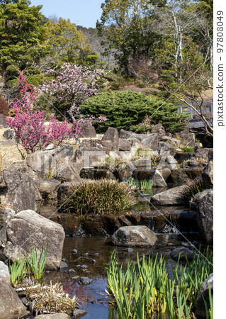 柏林公園的春天 柏林公園的春天 97808049