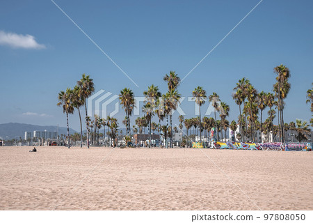 Los Angeles, USA. September 20, 2022. Scenic view of palm trees growing on sandy Venice beach with blue sky in the background during tropical climate 97808050