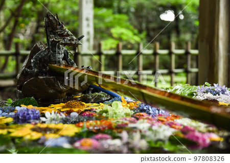 Wind chimes at Isasumi Shrine Wind chimes at Isasumi Shrine 97808326