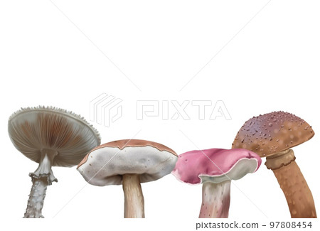 Watercolor frame made of mushrooms. frame with realistic mushrooms. autumn frame 97808454