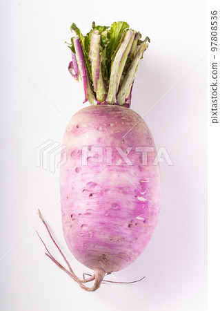 Red Crimson Radish Red Crimson Radish 97808536