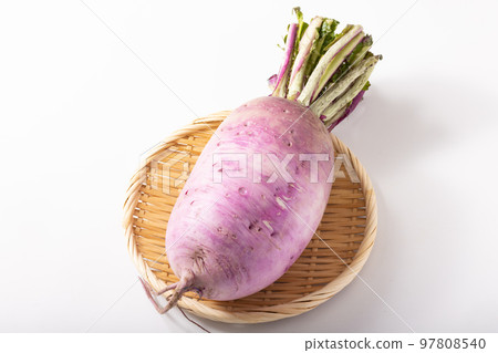 Red Crimson Radish Red Crimson Radish 97808540