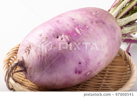 Red Crimson Radish Red Crimson Radish 97808541