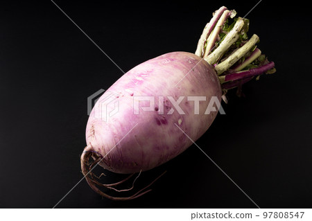 Red Crimson Radish Red Crimson Radish 97808547