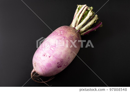 Red Crimson Radish Red Crimson Radish 97808548