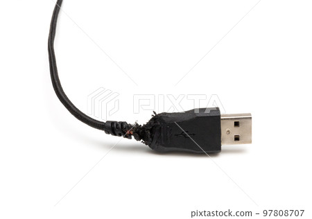 Black damaged usb cable gnawed by a dog 97808707