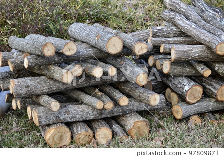 砍倒的樹 砍倒的樹 97809871