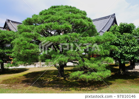 World Heritage Nijo Castle, a former imperial villa that has watched over Japan's history World Heritage Nijo Castle, a former imperial villa that has watched over Japan's history 97810146