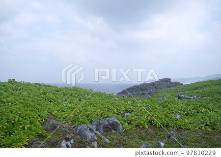 Scenery from Cape Hedo (Okinawa) 97810229