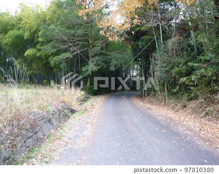 Chitano Bamboo Grove Chitano Bamboo Grove 97810380