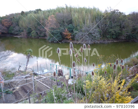 A pond near the former Chita High School A pond near the former Chita High School 97810396