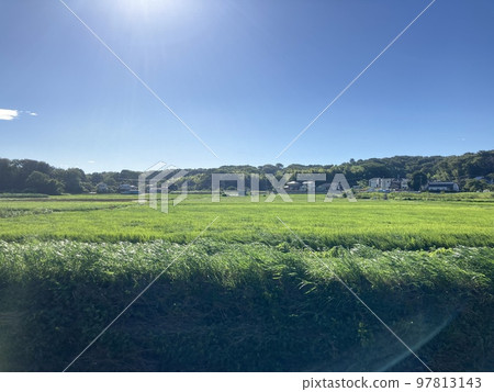 Rural landscape Rural landscape 97813143