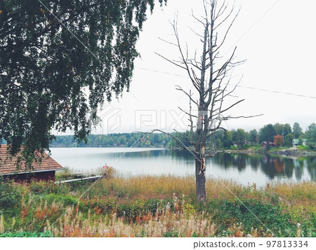 Lakeside of the forest Lakeside of the forest 97813334