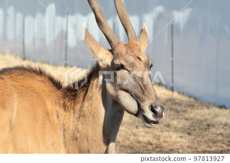 Eland 97813927