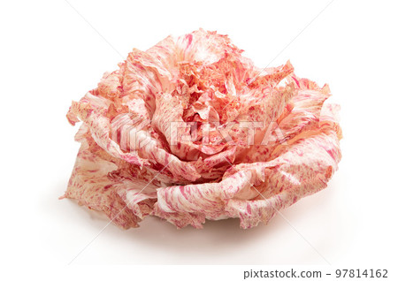 意大利名貴蔬菜Castelfranco 意大利名貴蔬菜Castelfranco 97814162