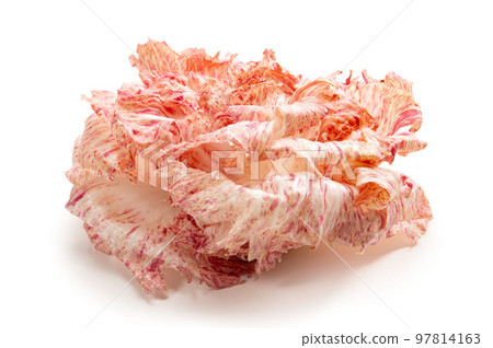 Castelfranco, Italy's luxury vegetables Castelfranco, Italy's luxury vegetables 97814163