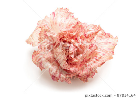 Castelfranco, Italy's luxury vegetables Castelfranco, Italy's luxury vegetables 97814164