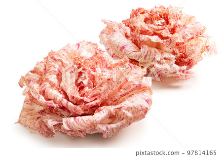 Castelfranco, Italy's luxury vegetables Castelfranco, Italy's luxury vegetables 97814165