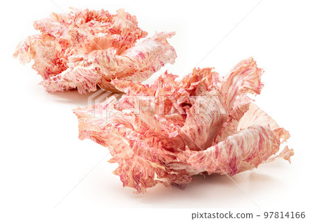 Castelfranco, Italy's luxury vegetables Castelfranco, Italy's luxury vegetables 97814166