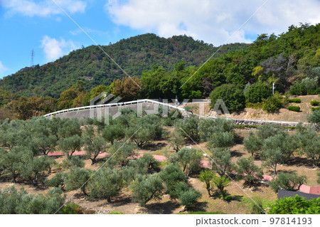小豆島橄欖園 小豆島橄欖園 97814193