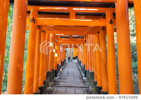 Senbon Torii(伏見稻荷大社) Senbon Torii(伏見稻荷大社) 97815009