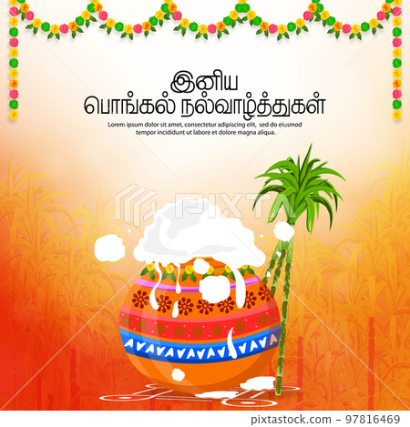 Vector illustration of Happy Pongal Holiday Harvest Festival in South India. Translate Happy Pongal Tamil Text. Vector illustration of Happy Pongal Holiday Harvest Festival in South India. Translate Happy Pongal Tamil Text. 97816469