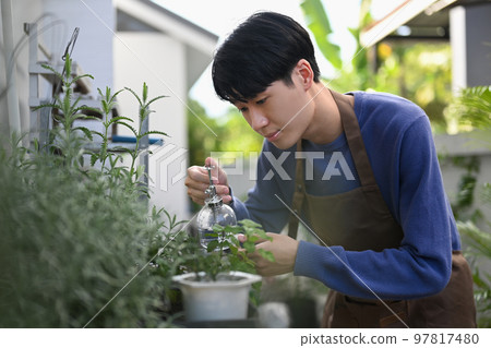 Young asian man taking care of plants, spraying plants with pure water from a spray bottle. Gardening hobby concept Young asian man taking care of plants, spraying plants with pure water from a spray bottle. Gardening hobby concept 97817480
