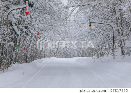 【北海道美瑛町】有雪景的道路 97817525