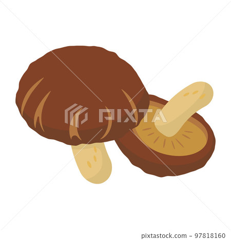 Vector illustration of dried shiitake mushrooms. 97818160