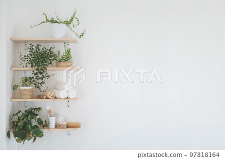 Bathroom wooden shelves eco friendly body care tools with potted plant neatly arrangement storage 97818164