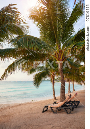 Mexico Caribbean coast tropical beach with coconut palm trees. 97819513