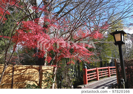 修善寺竹林的小直徑 修善寺竹林的小直徑 97820166