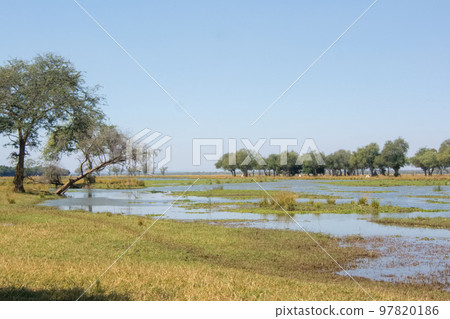 贊比亞下贊比西河國家公園贊比西河附近的景觀 贊比亞下贊比西河國家公園贊比西河附近的景觀 97820186