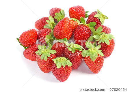 草莓(幸香) 草莓(幸香) 97820464