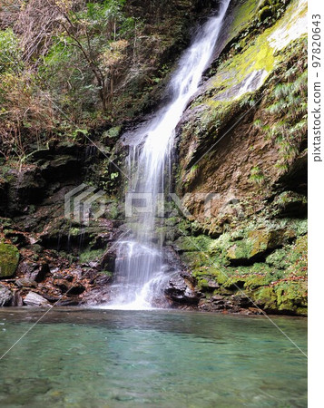 琵琶瀑布 [德島縣三好市] Kazura Bridge 2 97820643