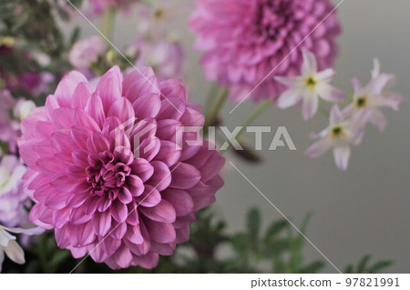 Moonstone Moonstone 97821991