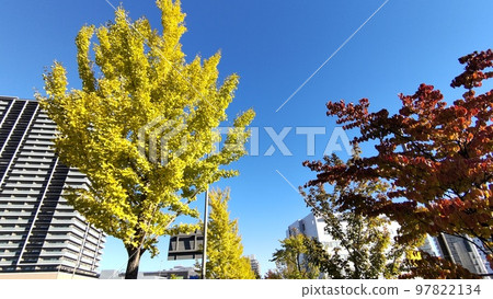 仙台長町的紅葉 97822134