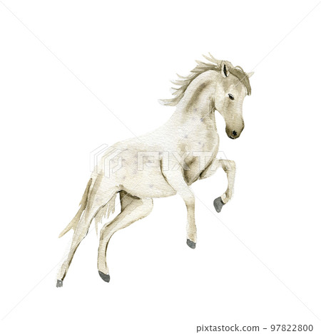 Watercolor hand drawn cute white horse on the white background. Running horse illustration. Watercolor painting of a galloping horse. Perfect for greetings card, poster, invitation and party decor. Watercolor hand drawn cute white horse on the white background. Running horse illustration. Watercolor painting of a galloping horse. Perfect for greetings card, poster, invitation and party decor. 97822800