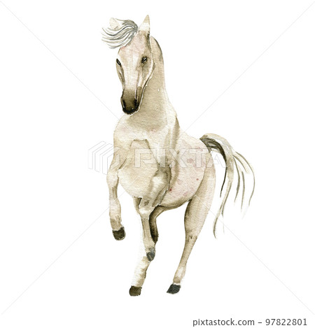 Watercolor hand drawn cute white horse on the white background. Running horse illustration. Watercolor painting of a galloping horse. Perfect for greetings card, poster, invitation and party decor. 97822801