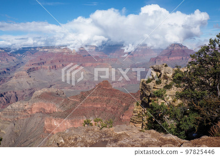 Grand canyon national park south rim. High quality photo 97825446