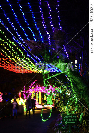 Flower Park Kagoshima illumination 97826529