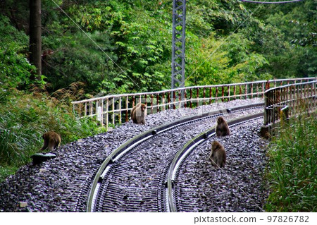 “你也是火車迷！？” 97826782