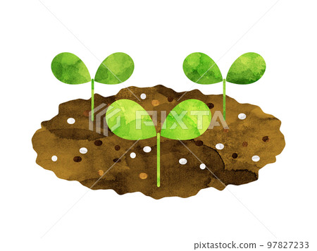 Illustration of a bud processed in a watercolor style Illustration of a bud processed in a watercolor style 97827233