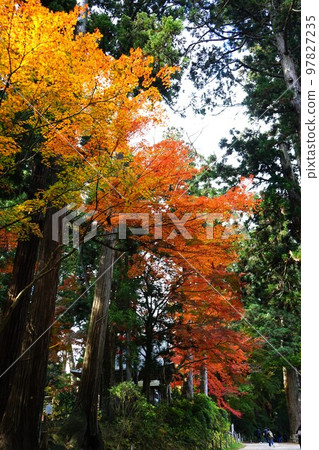 World Heritage Kanzan Chusonji Temple World Heritage Kanzan Chusonji Temple 97827235