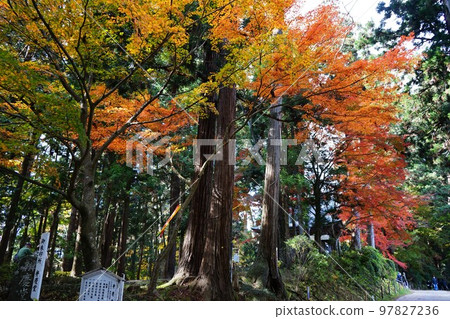 世界遺產觀山中尊寺 世界遺產觀山中尊寺 97827236