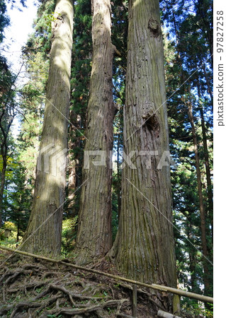 World Heritage Kanzan Chusonji Temple 97827258