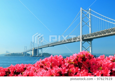 [香川縣]春天從瀨戶大橋紀念公園看到杜鵑花盛開的“瀨戶大橋” 97827619
