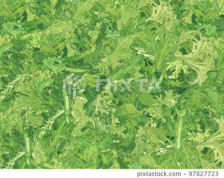 Precise and delicious realistic hand-drawn illustration of fresh salad Precise and delicious realistic hand-drawn illustration of fresh salad 97827723