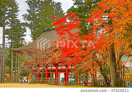 Koyasan Kanemonji temple gate 97828011
