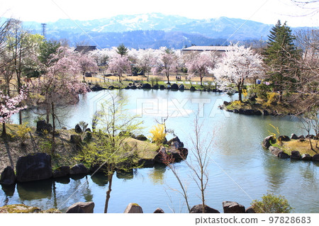 Zenibuchi Park/Cherry Blossom Viewing 97828683